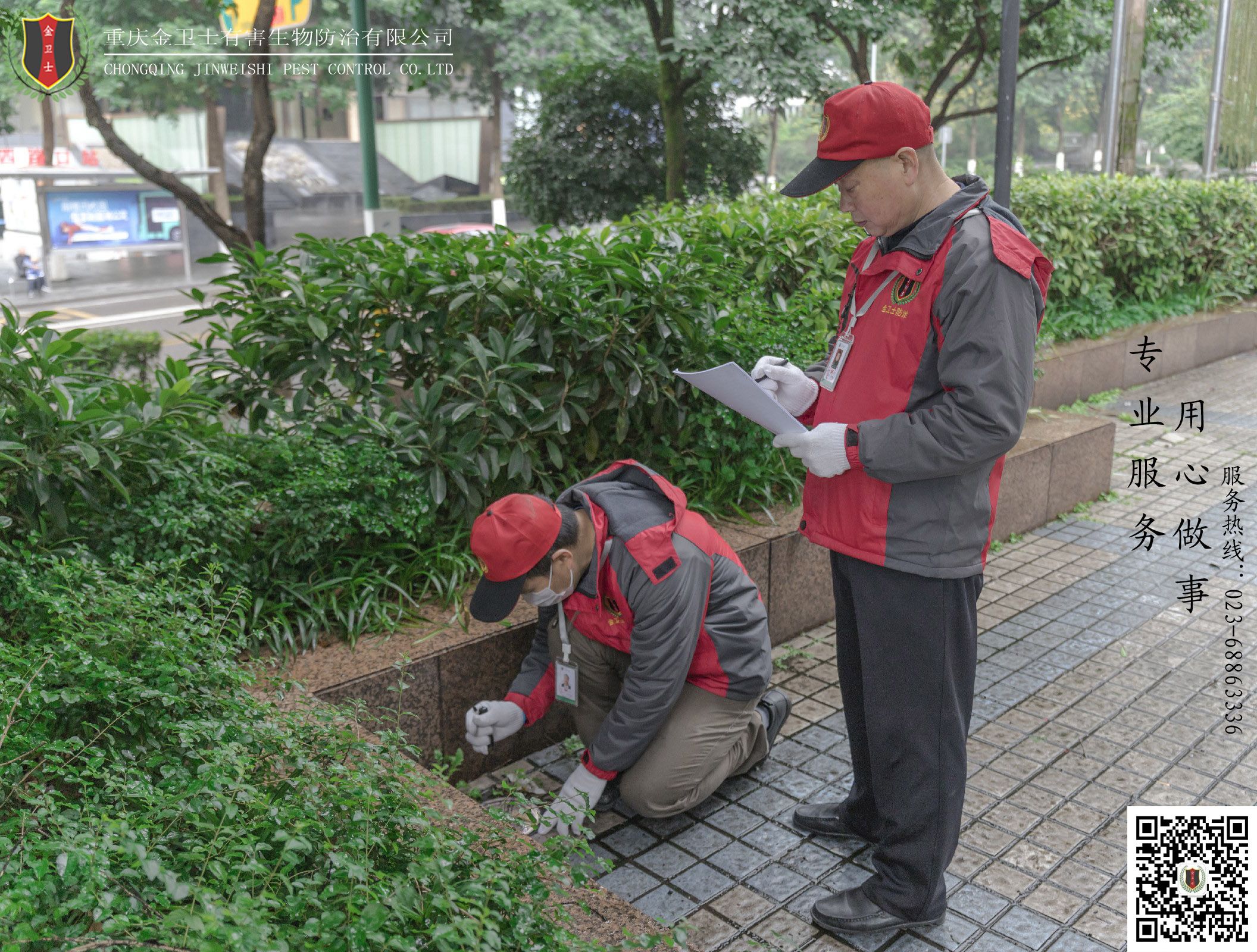 消滅白蟻什么辦法有效